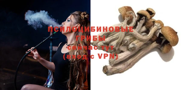 прущая мука Алзамай