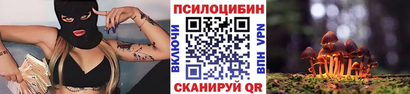 blacksprut ссылки  где купить наркотик  Карпинск  Псилоцибиновые грибы Psilocybine cubensis 